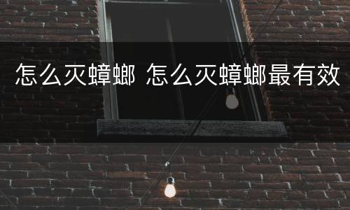 怎么灭蟑螂 怎么灭蟑螂最有效