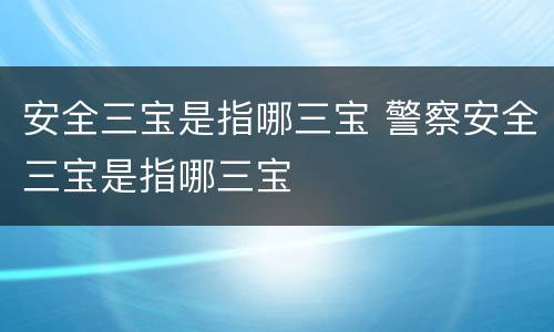 安全三宝是指哪三宝 警察安全三宝是指哪三宝
