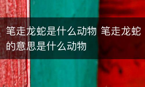 笔走龙蛇是什么动物 笔走龙蛇的意思是什么动物