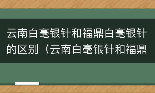 云南白毫银针和福鼎白毫银针的区别（云南白毫银针和福鼎白毫银针的区别在哪里）