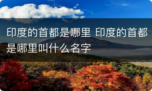 印度的首都是哪里 印度的首都是哪里叫什么名字