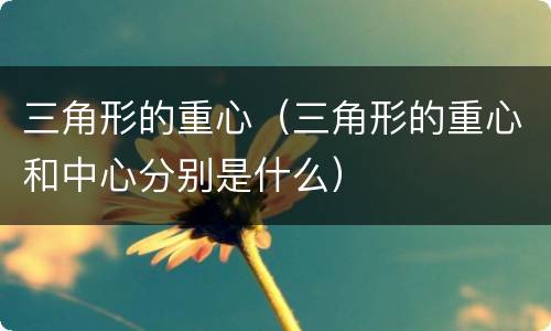 三角形的重心（三角形的重心和中心分别是什么）