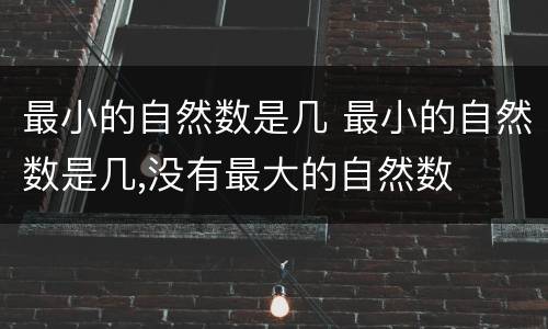 最小的自然数是几 最小的自然数是几,没有最大的自然数
