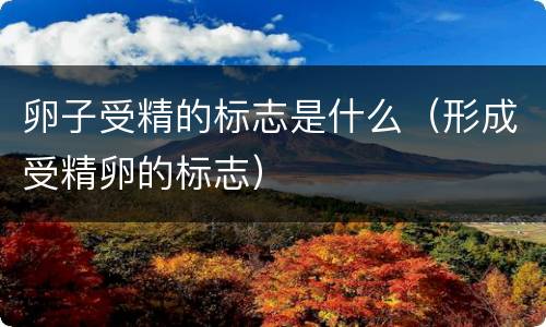 卵子受精的标志是什么（形成受精卵的标志）