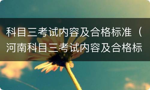 科目三考试内容及合格标准（河南科目三考试内容及合格标准）