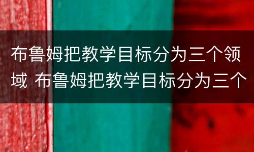 布鲁姆把教学目标分为三个领域 布鲁姆把教学目标分为三个领域案例