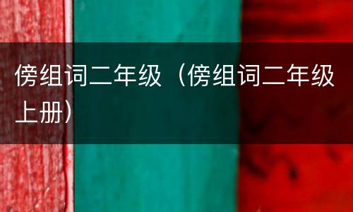 傍组词二年级（傍组词二年级上册）