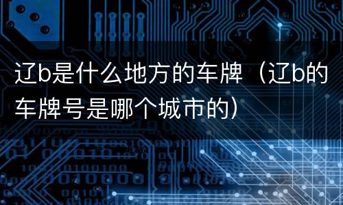 辽b是什么地方的车牌（辽b的车牌号是哪个城市的）