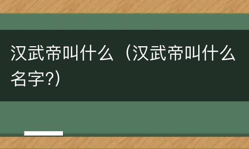汉武帝叫什么（汉武帝叫什么名字?）