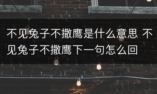 不见兔子不撒鹰是什么意思 不见兔子不撒鹰下一句怎么回