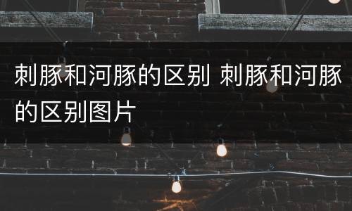 刺豚和河豚的区别 刺豚和河豚的区别图片