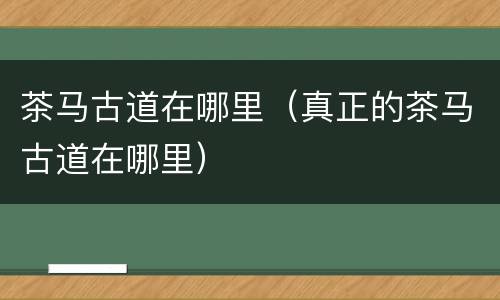 茶马古道在哪里（真正的茶马古道在哪里）
