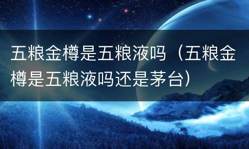 五粮金樽是五粮液吗（五粮金樽是五粮液吗还是茅台）