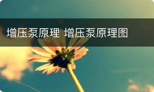 增压泵原理 增压泵原理图