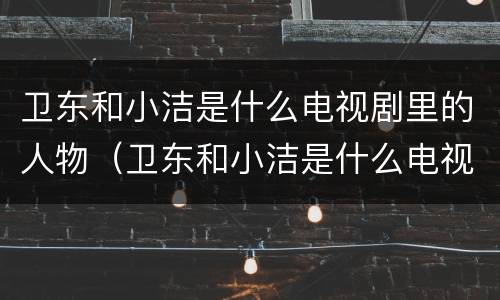 卫东和小洁是什么电视剧里的人物（卫东和小洁是什么电视剧里的人物）