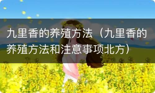 九里香的养殖方法（九里香的养殖方法和注意事项北方）