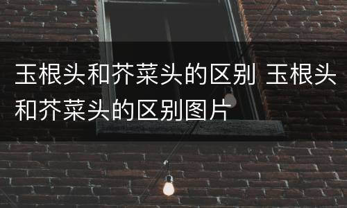 玉根头和芥菜头的区别 玉根头和芥菜头的区别图片