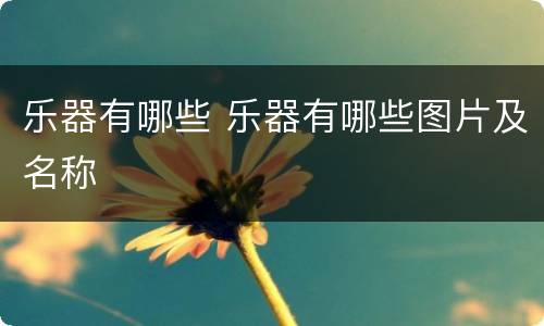 乐器有哪些 乐器有哪些图片及名称