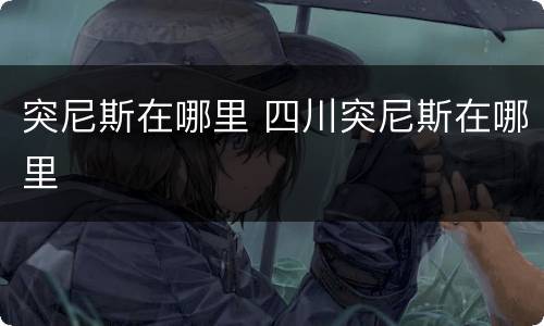 突尼斯在哪里 四川突尼斯在哪里