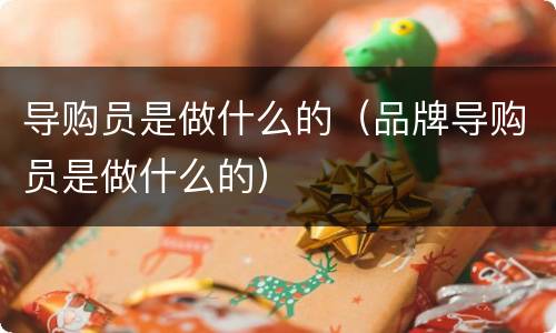 导购员是做什么的（品牌导购员是做什么的）