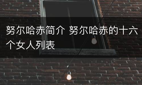 努尔哈赤简介 努尔哈赤的十六个女人列表