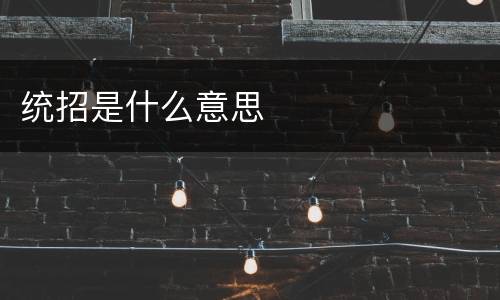 统招是什么意思