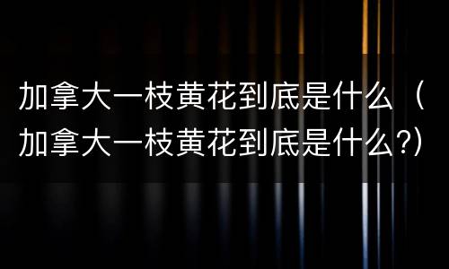 加拿大一枝黄花到底是什么（加拿大一枝黄花到底是什么?）