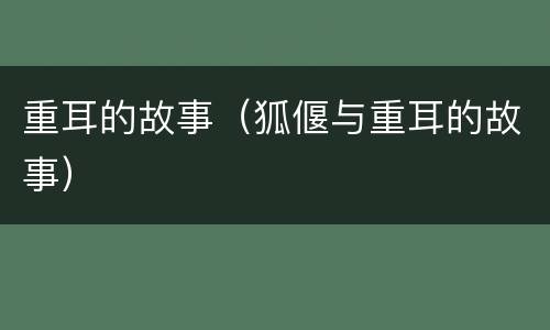 重耳的故事（狐偃与重耳的故事）