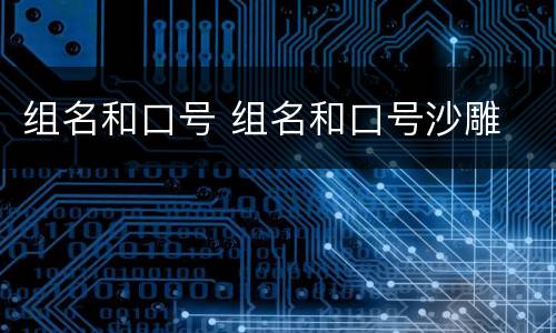 组名和口号 组名和口号沙雕