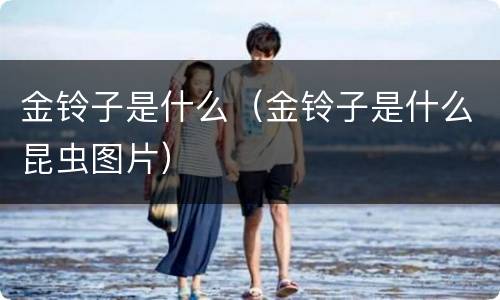 金铃子是什么（金铃子是什么昆虫图片）