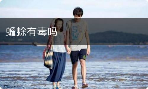 蟾蜍有毒吗