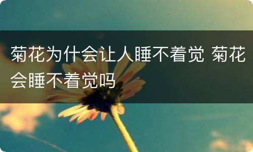菊花为什会让人睡不着觉 菊花会睡不着觉吗