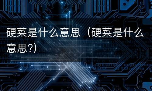 硬菜是什么意思（硬菜是什么意思?）
