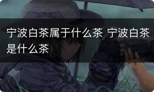 宁波白茶属于什么茶 宁波白茶是什么茶