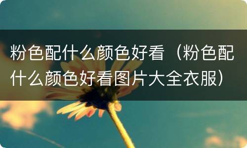 粉色配什么颜色好看（粉色配什么颜色好看图片大全衣服）