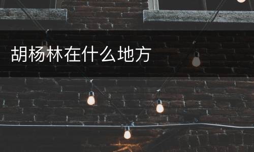 胡杨林在什么地方