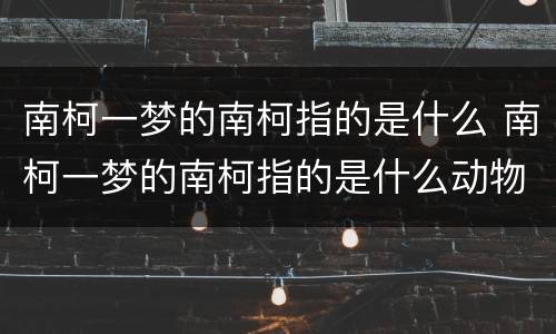 南柯一梦的南柯指的是什么 南柯一梦的南柯指的是什么动物