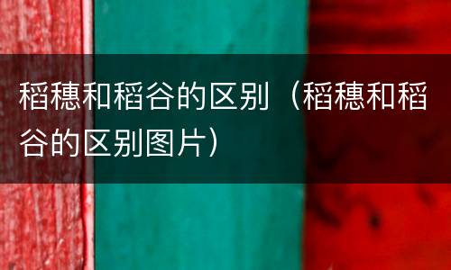 稻穗和稻谷的区别（稻穗和稻谷的区别图片）