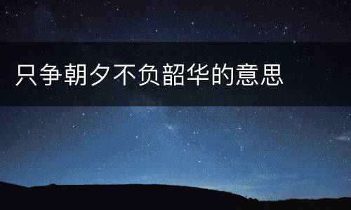 只争朝夕不负韶华的意思