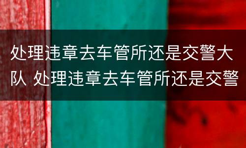 处理违章去车管所还是交警大队 处理违章去车管所还是交警大队电话
