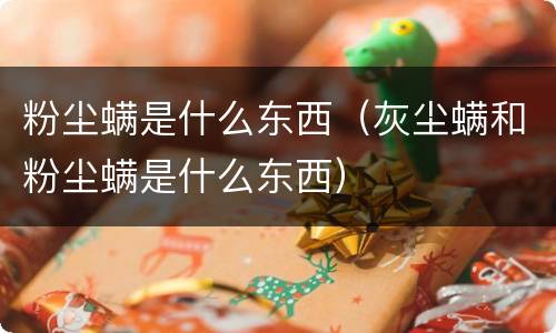 粉尘螨是什么东西（灰尘螨和粉尘螨是什么东西）