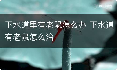 下水道里有老鼠怎么办 下水道有老鼠怎么治