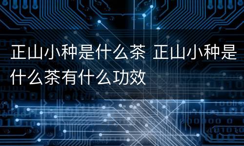 正山小种是什么茶 正山小种是什么茶有什么功效