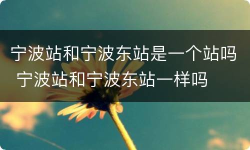 宁波站和宁波东站是一个站吗 宁波站和宁波东站一样吗