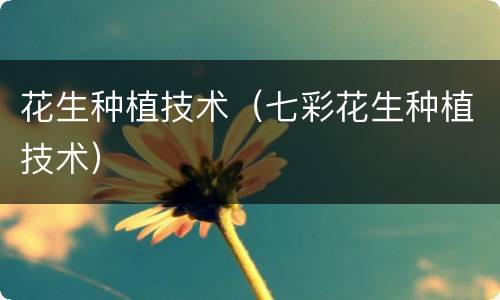 花生种植技术（七彩花生种植技术）