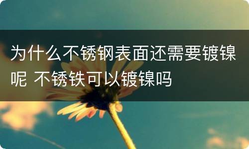 为什么不锈钢表面还需要镀镍呢 不锈铁可以镀镍吗