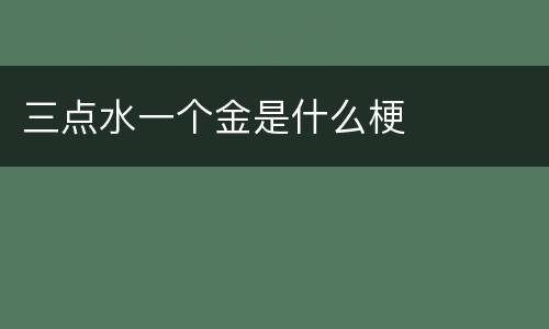 三点水一个金是什么梗