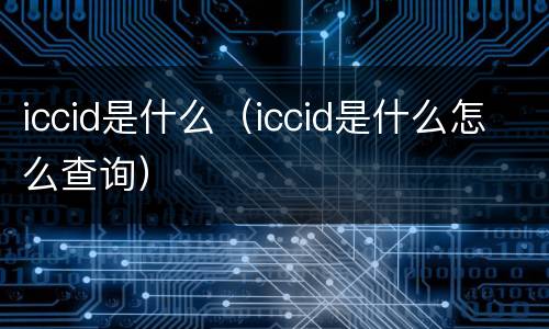 iccid是什么（iccid是什么怎么查询）