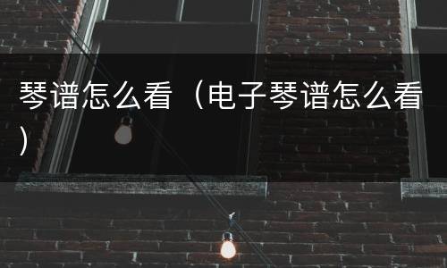 琴谱怎么看（电子琴谱怎么看）