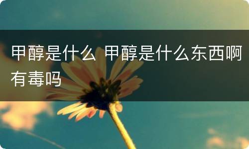甲醇是什么 甲醇是什么东西啊有毒吗